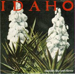 Idaho : The Bayonet EP